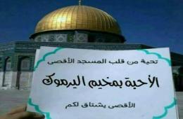 فلسطينيو سورية احصاءات وأرقام حتى 21 كانون الأول - ديسمبر 2017