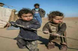 فلسطينيو سورية احصاءات وأرقام حتى 23 كانون الثاني / يناير 2018