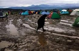 فلسطينيو سورية احصاءات وأرقام حتى 13 شباط/ فبراير  2018