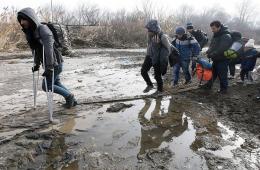 فلسطينيو سورية احصاءات وأرقام حتى 26 شباط/ فبراير  2018