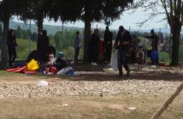 فلسطينيو سورية العالقون في الجزر اليونانية إحباط ويأس ومصير مجهول