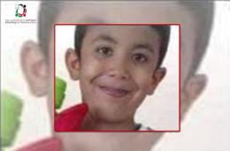 غرق طفل فلسطيني سوري في ألمانيا 