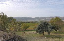 قضاء 4 فلسطينيين سوريين برصاص الجندرما التركية