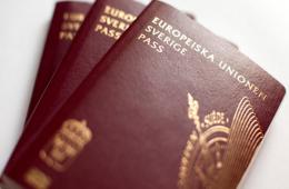 المزيد من اللاجئين الفلسطينيين السوريين يحصلون على الجنسيات السويدية والهولندية