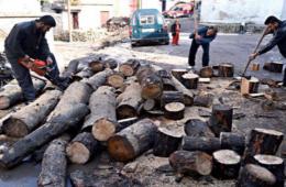 مع اقتراب الشتاء ارتفاع أسعار حطب التدفئة يزيد من معاناة اللاجئين