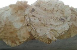 شكوى من رداءة نوعية الخبز في مخيم سبينة