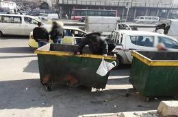 سوريا الأخيرة عالمياً بمؤشر "جودة الحياة" 