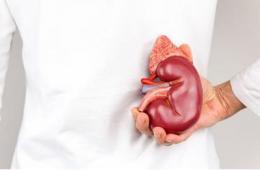 باع كليته ليلتحق بعائلته فانتهى المطاف به معتقلاً في عفرين