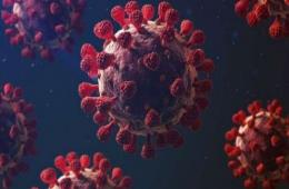 انتشار سريع لفايروس كورونا في مخيم خان الشيح 