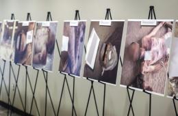 في اليوم الدولي للاعنف.. آلاف الفلسطينيين ضحايا انتهاكات جسدية جراء الحرب السورية