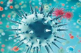 حلب.. وفاة أحد أبناء مخيم حندرات بكورونا