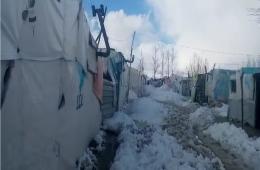 لبنان.. نداء استغاثة لمساعدة فلسطينيي سوريا القابعين في الخِيَامٌ