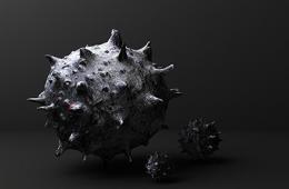 وفاة مسنة من أبناء مخيّم النيرب بـ "الفطر الأسود"