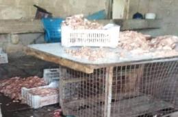 مخيم خان الشيح.. مخالفات بحق محال ومنشآت تجارية