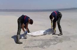 العثور على جثث مهاجرين قبالة السواحل التونسية دون تحديد هويتهم