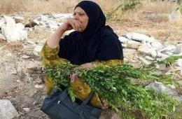 الفلسطينيون في سوريا يستقبلون عيد الأضحى بـ "فرحة منقوصة"  