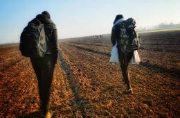 وصول أكثر من 70 فلسطيني سوري إلى دول الاتحاد الأوروبي خلال آخر أسبوعين