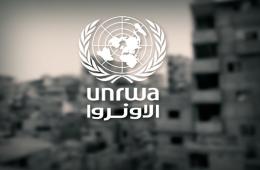 الأونروا تبدأ توزيع مساعدات نقدية على المتضررين من الزلزال وتستثني الفلسطينيين في الشمال السوري