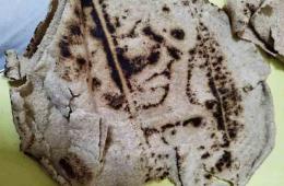 أهالي مخيم النيرب يشتكون من رداءة الخبز وطريقة توزيعه