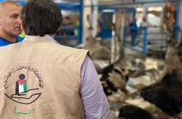 لبنان.. توزيع لحوم الأضاحي على العائلات الفلسطينية السورية 