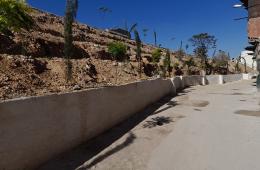 مبادرة لتجميل وتزيين مدخل مخيم جرمانا ومطالبات بتعبيده