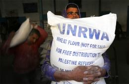 سوريا.. الأونروا ترسل استبياناً للعائلات الفلسطينية لتقييم خدماتها الغذائية 