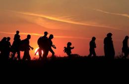 ارتفاع معدلات الهجرة بين أبناء مخيم النيرب 