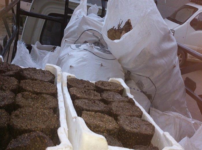 هيئة فلسطين الخيرية توزع الحطب على بعض عائلات مخيم خان الشيح 