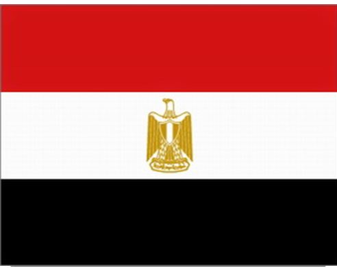 فلسطينيو سورية في سجن كرموز بمصر يجددون مناشدتهم من أجل حل قضيتهم والإفراج عنهم 