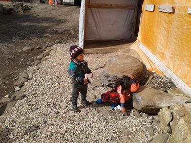 فلسطينيو سورية احصاءات وأرقام حتى 07 كانون الثاني - يناير 2018