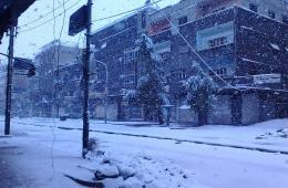 البرد والجوع يعصفان في مخيم اليرموك 