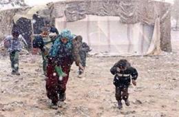 تقرير خاص | زينة" تزيد من معاناة اللاجئين الفلسطينيين السوريين في لبنان