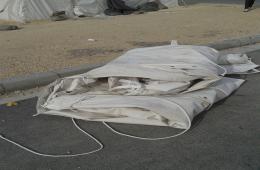 اللاجئون الفلسطينيون في قبرص يناشدون من العراء 