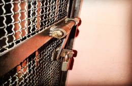 قوات المعارضة السورية المسلحة تعتقل لاجئة فلسطينية في حلب 