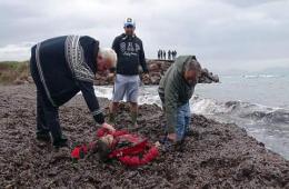  قضاء 5 مهاجرين غرقاً وانقاذ 16 أثناء محاولتهم الوصول إلى اليونان