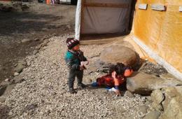 فلسطينيو سورية احصاءات وأرقام حتى 07 كانون الثاني - يناير 2018