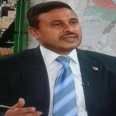 Palestinians of Syria and the UN Security Council Initiative.